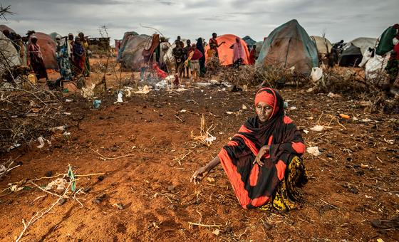 En Éthiopie, au Kenya et en Somalie, 22 millions de personnes en situation d’insécurité alimentaire aiguë - PAM